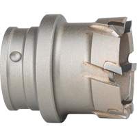 Quick Change Steel Plate Cutter Air Extreme Inc.