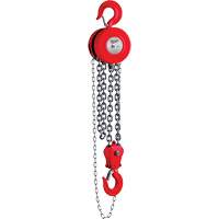 Chain Hoist, 8' Lift, 11023 lbs. (5 tons) Capacity Air Extreme Inc.