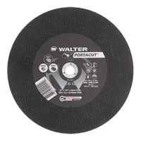 Portacut High Speed Cut-Off Wheel, 12" x 1/8", 3/4" Arbor, Type 1, Silicon Carbide, 6300 RPM Air Extreme Inc.