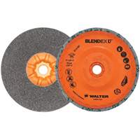 Brosse coupe de finition Blendex U, 5" dia., Grain Fin, Carbure de silicium Air Extreme Inc.