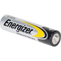Piles alcalines industrielles, AAA, 1,5 V Air Extreme Inc.