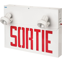 Enseignes/lampes combin&eacute;es Stella - Sortie, DEL, &agrave; raccordement fixe, 17-1/2" lo x 12-1/2" la, Français Air Extreme Inc.