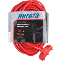 Cordon rallonge en vinyle, Ext&eacute;rieur, SJTW, AWG 12/3, 15 A, 3 prise(s), 100' Air Extreme Inc.