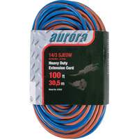 Cordon rallonge en caoutchouc TPE avec indicateur lumineux, Toutes saisons, SJEOW, AWG 14/3, 13 A, 100' Air Extreme Inc.