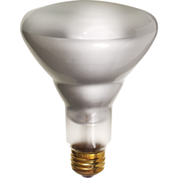 Lampes &agrave; incandescence &eacute;conomiques Air Extreme Inc.