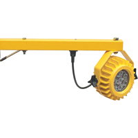 Heavy-Duty Loading Dock Lights, 24" Arm, 300 W, LED Lamp, Metal Air Extreme Inc.