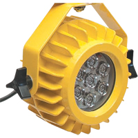 Lampe robuste DEL pour les quais - t&ecirc;te seulement Air Extreme Inc.