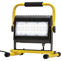 Flood Light, LED, 50 W, 4800 Lumens, Aluminum Housing Air Extreme Inc.