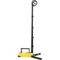 Lampes de sc&egrave;ne portables et rechargeables, DEL, 36 W, 5300 lumens, Boîtier en Plastique Air Extreme Inc.