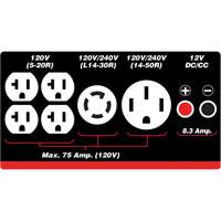 G&eacute;n&eacute;ratrice &agrave; essence/propane &agrave; d&eacute;marreur &eacute;lectrique Air Extreme Inc.