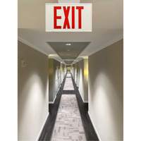 Exit Sign, LED, Battery Operated/Hardwired, 12-1/5" L x 7-1/2" W, English Air Extreme Inc.