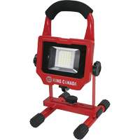 Baladeuse, DEL, 15 W, 1500 lumens, Boîtier en Aluminium Air Extreme Inc.