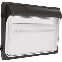 TWX3 Wall Luminaire, LED, 347 V, 14" H x 18" W x 5" D Air Extreme Inc.
