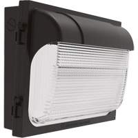 TWX Wall Luminaire, LED, 480 V, 9 W - 54 W, 14" H x 18" W x 5" D Air Extreme Inc.
