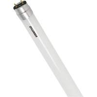 Ampoule DEL en verre givr&eacute; SubstiTUBE, 12 W, T8, 5000 K, 48" l Air Extreme Inc.