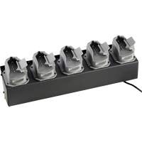 Chargeur de batteries de lampe de poche Survivor X Air Extreme Inc.