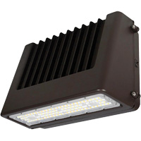 Luminaire mural, DEL, 120 V, 80 W, 6,5" ha x 9,3" la x 14,4" p Air Extreme Inc.