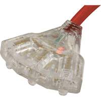 Rallonge pour g&eacute;n&eacute;ratrice avec triple fiche, STW, AWG 10, 3 prise(s), 25' Air Extreme Inc.