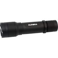 IP67 Flashlight, LED, 2000 Lumens, Rechargeable Batteries Air Extreme Inc.