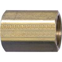 Pipe Coupling, Brass, 1/8" Air Extreme Inc.