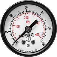 Economy Pressure Gauge, 1-1/2" , 0 - 60 psi, Back Mount, Analogue Air Extreme Inc.