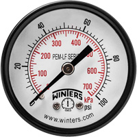 Economy Pressure Gauge, 2" , 0 - 100 psi, Back Mount, Analogue Air Extreme Inc.