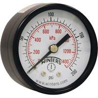 Economy Pressure Gauge, 2" , 0 - 200 psi, Back Mount, Analogue Air Extreme Inc.