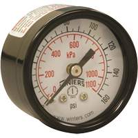 Economy Pressure Gauge, 1-1/2" , 0 - 160 psi, Back Mount, Analogue Air Extreme Inc.