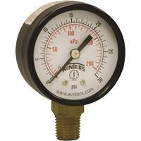 Economy Pressure Gauge, 2" , 0 - 30 psi, Bottom Mount, Analogue Air Extreme Inc.
